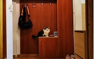 Apartament 2 camere 2 balcoane - Poză 7