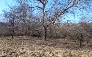 Două case de vânzare – Cerisor – teren generos 6996 mp - Poză 16