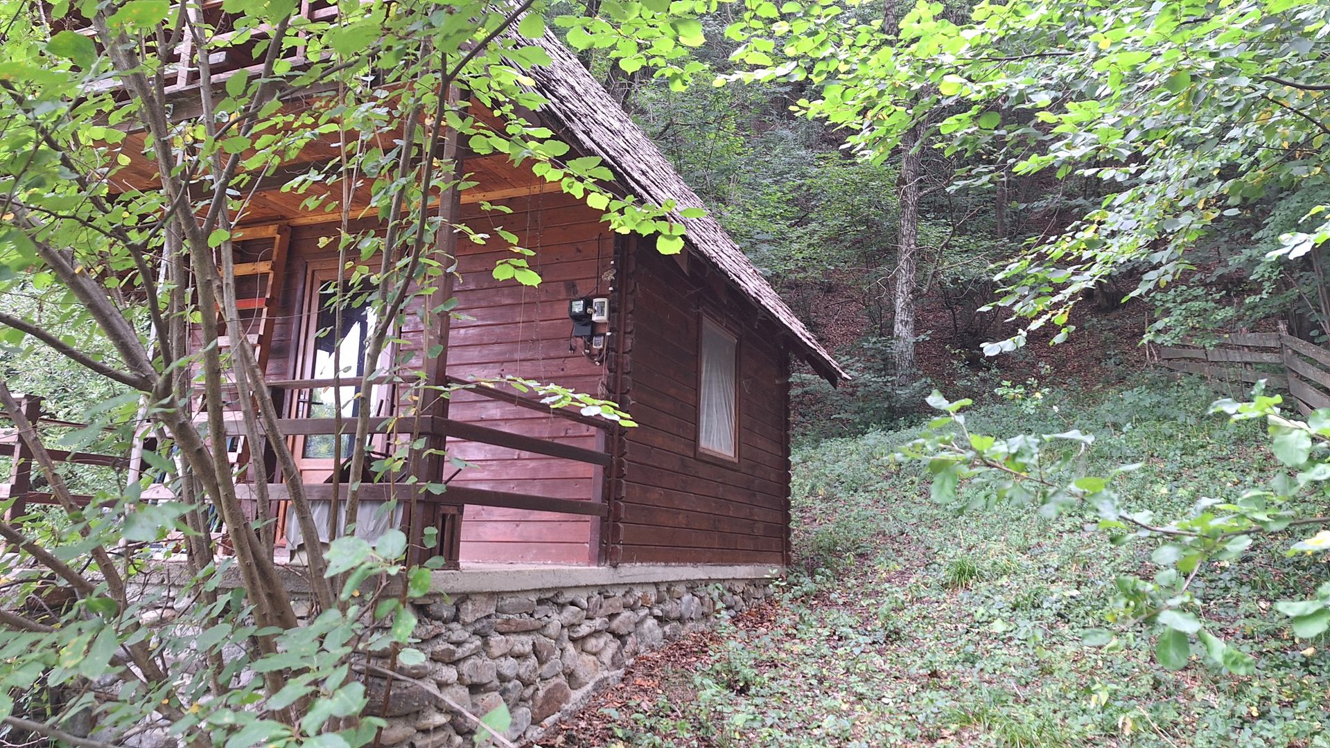 VANZARE ANSAMBLU CASUTE BRADULET ARGES - Poză 3