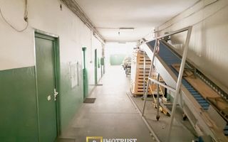 Hala industriala de vanzare Arad – 589 mp - Poză 5