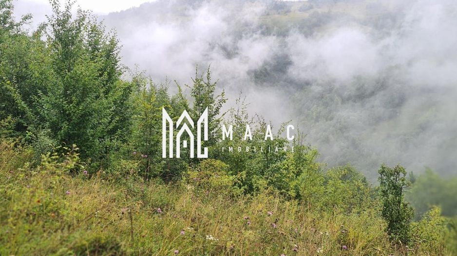 Super ofertă 35000 teren in Muntii Apuseni - Poză 13