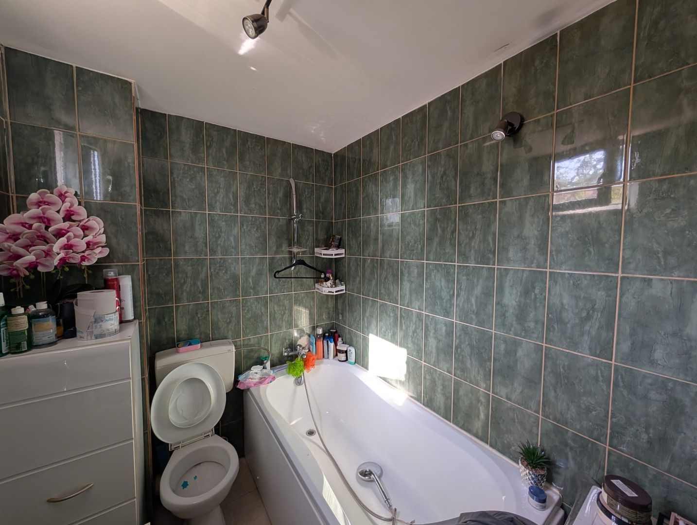 Vanzare Casa Dragomirești-Vale, Ilfov - Curte Mare, Oportunitate - Poză 19