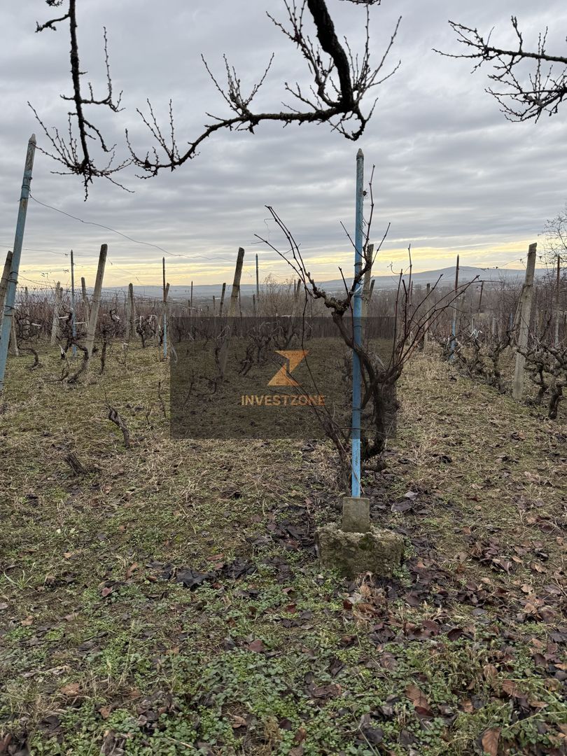 Teren cu utilități 2052 mp - Oradea - str. Făgetului - Poză 8