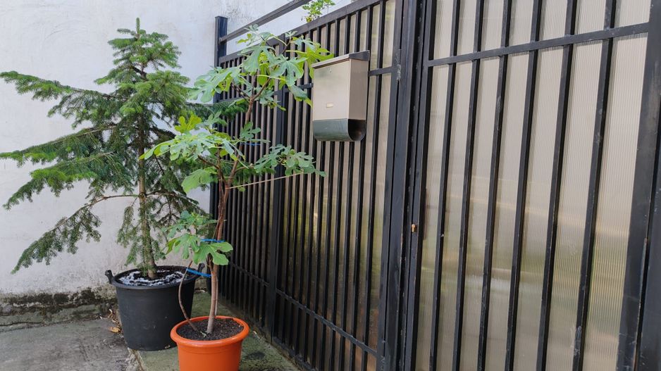 Vanzare apartament 3 camere + garsoniera Floreasca - Poză 10