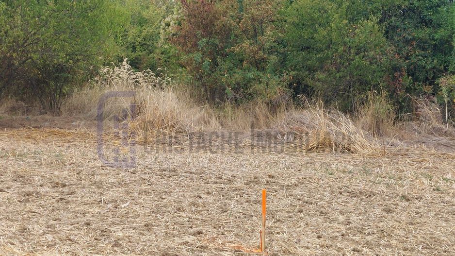 Teren intravilan, 527 mp, deschidere la strada de 17 mp_Teghes (Domnesti) - Poză 3