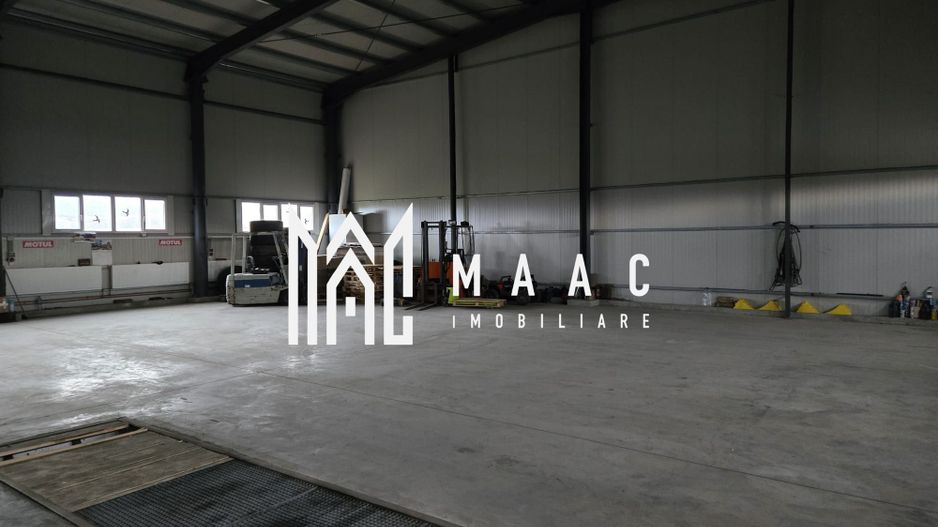 Imobil industrial I 448 mp I Teren 12.000 mp I Bradu I De Inchiriat - Poză 4