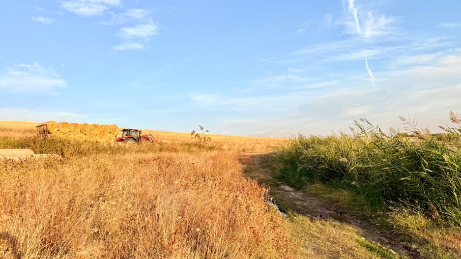 Teren Daia 75000 mp cu balta 30000 mp izvoare - Poză 12