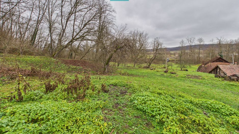 Casă cu teren de 24.679,73 mp, în Hălmagiu, Arad - Poză 16