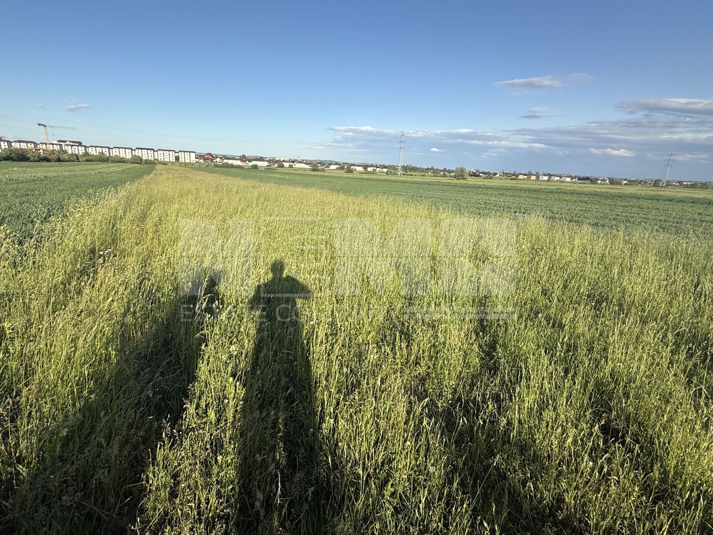 Teren extravilan de vânzare în zona Osoi – 2.650 mp | Front 10 m - Poză 4