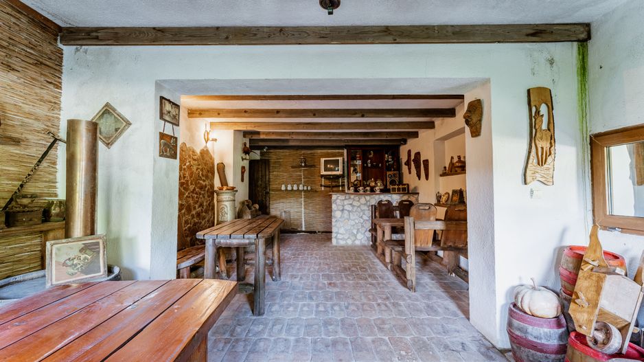 Domeniu în satul Căprioara - Poză 74