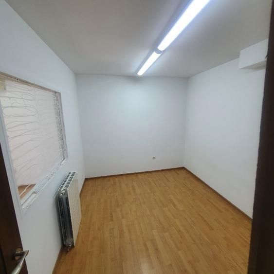 Vila Dacia/Institul Francez - Poză 9