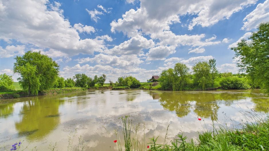 Teren cu baltă- oportunități multiple la Fibiș - Poză 16