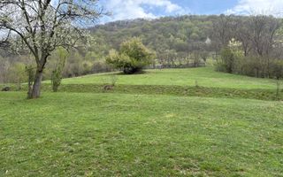 Teren de vânzare, 7750 mp I Orientare sudică I Caineni - Poză 6