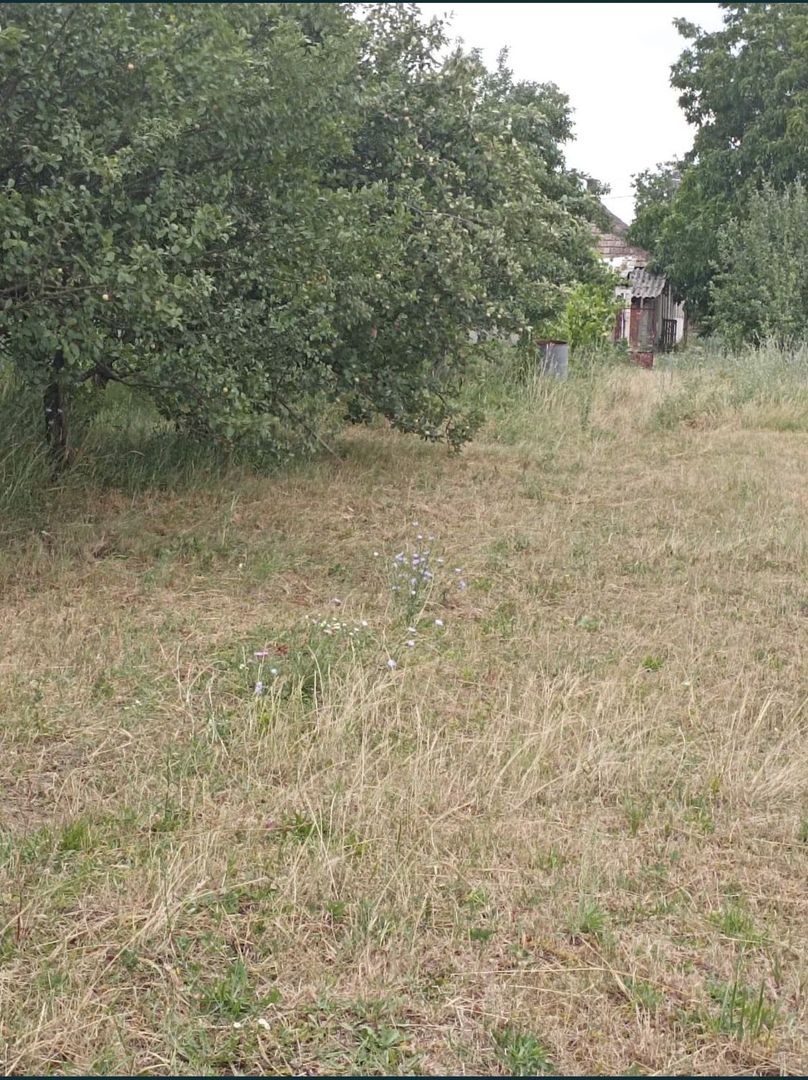 Casa cu teren de vanzare-Satmarel, Satu Mare - Poză 6