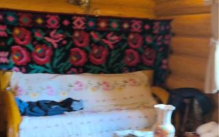 Casă de vacanță de închiriat, Iași, Uricani - Poză 2