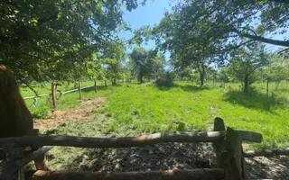 VILA 5 CAMERE, TEREN 4520 MP, LERESTI, ARGES - Poză 18