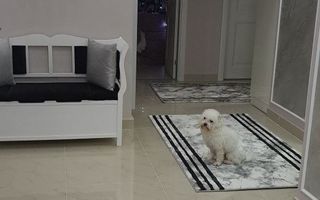 Vând apartament 3camere nicolina cug - Poză 5