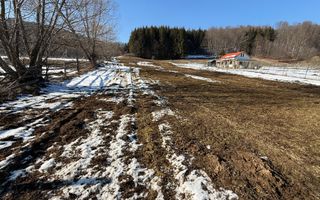 Teren intravilan 4521mp lângă pădure-valea Doftanei -Calea Brasovului - Poză 6