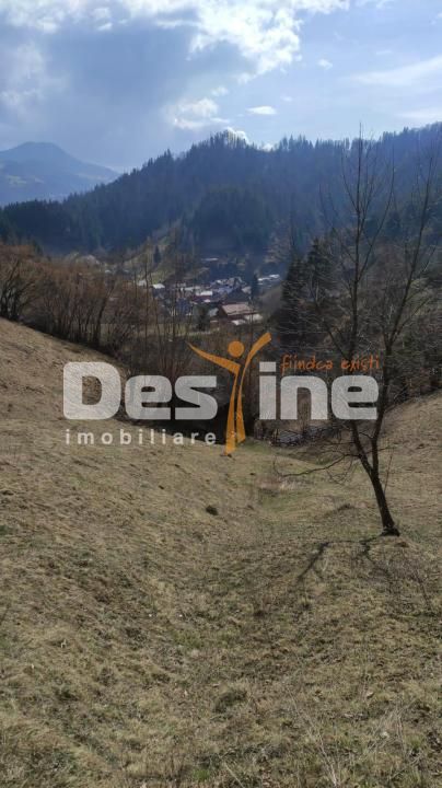 Teren 5000 mp, ideal cabana, pensiune,  in zona de interes  turistic  Rucar-Bran - Poză 5