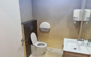 Zero comision, 216mp birouri amenajate 13 Septembrie - Progresului - Poză 10