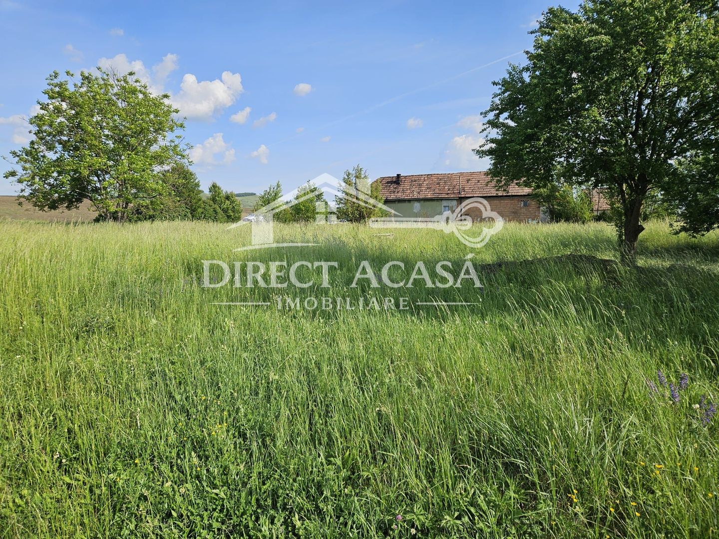 Teren intravilan 3000 mp Ernei – panorama superba, utilitati in zona - Poză 5
