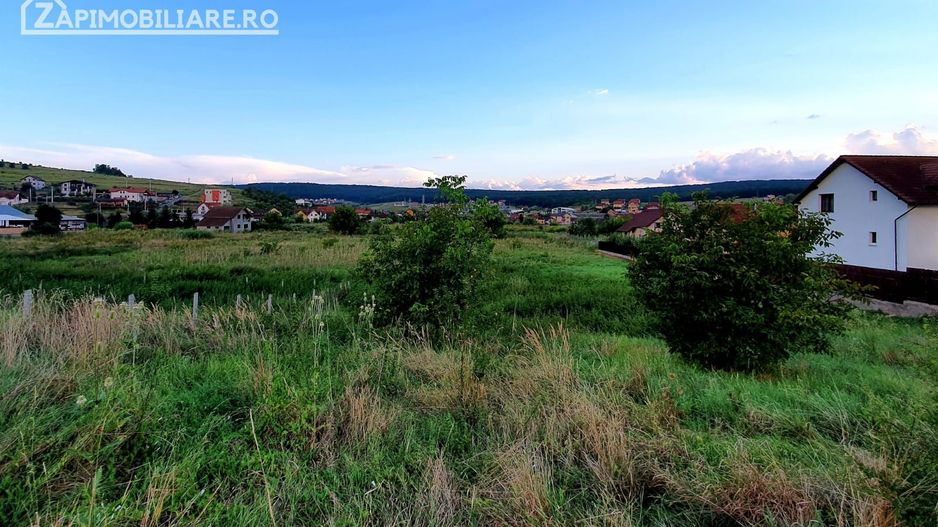Teren intravilan 5.700 mp in Corunca,zona castelului,34 eu/mp - Poză 1
