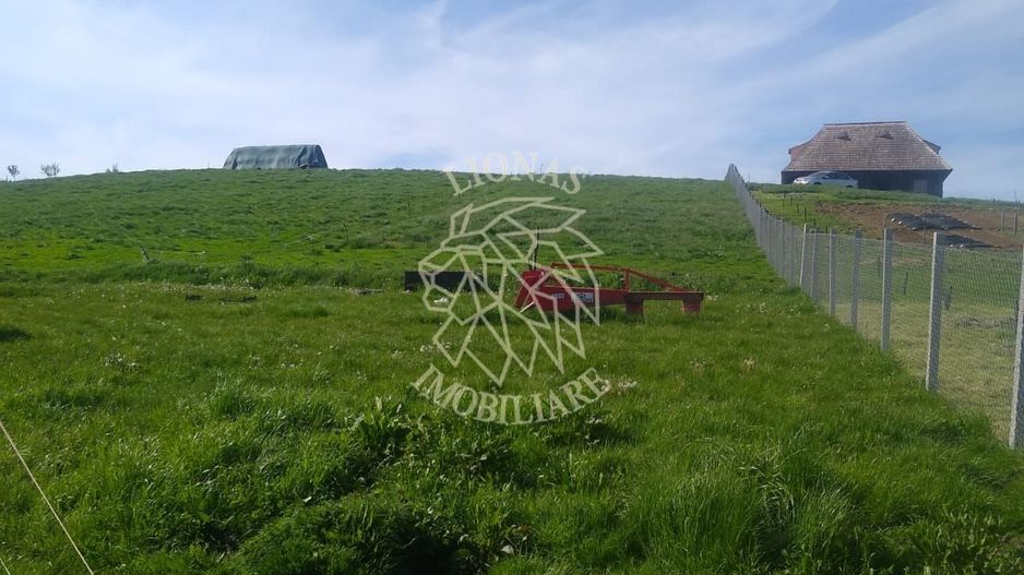 Teren 2500 mp-ideal agricultura/cabane/sera-panorama-Monariu - Poză 5