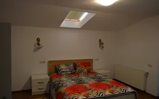 Casă/Vilă Hagigadar Suceava - Poză 45