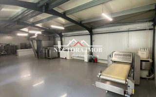 NECTORA IMOB-Hala industriala 250 mp, Sanmartin, Camera Frig,Sanmartin - Poză 8