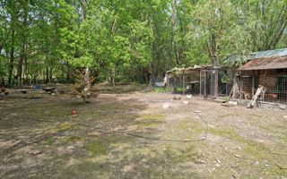 CASA 3 CAMERE, TEREN 6200 MP + 2 LACURI, CAMPULUNG, NAMAIESTI - Poză 28