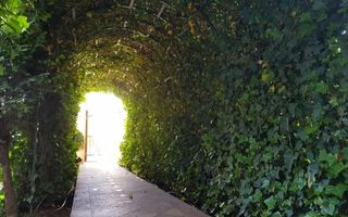 Vila unicat - vanzare - Baneasa-Liceul Francez - pret la cerere - Poză 29