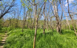 Teren de vanzare / Dem Radulescu - Poză 3