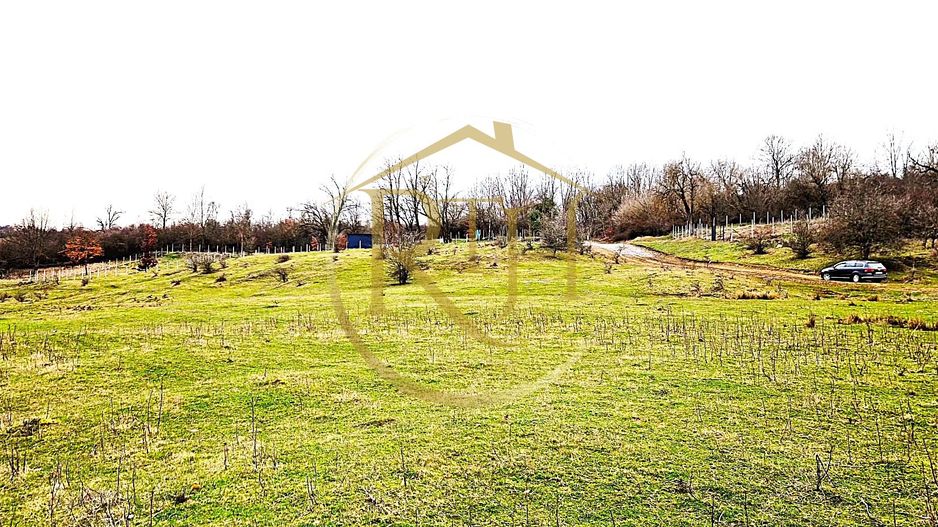 Terenuri extravilane de vânzare – Vizma & Crivobara, comuna Secaș, jud. Timiș - Poză 15