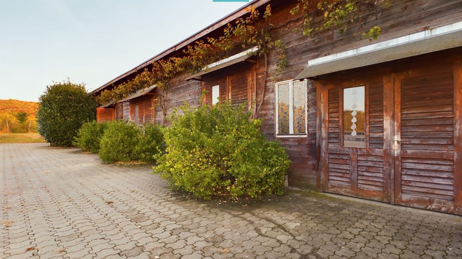 Spațiu comercial - Crama Pivnițele Birăuaș - Poză 31