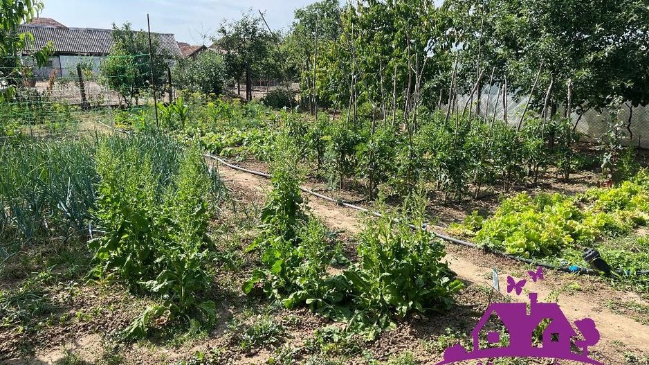 Casa in localitatea Nojorid - Poză 11