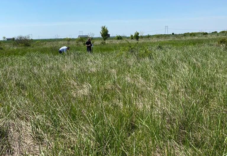 Teren la DN7 - ideal investitie (Benzinarie, spalatorie, hala) - Poză 1