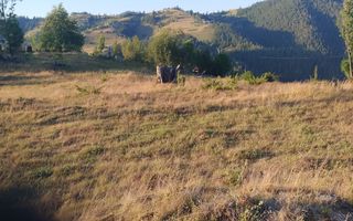 Teren Intravilan | 3.000 mp | Gârda de Sus | Alba | - Poză 5