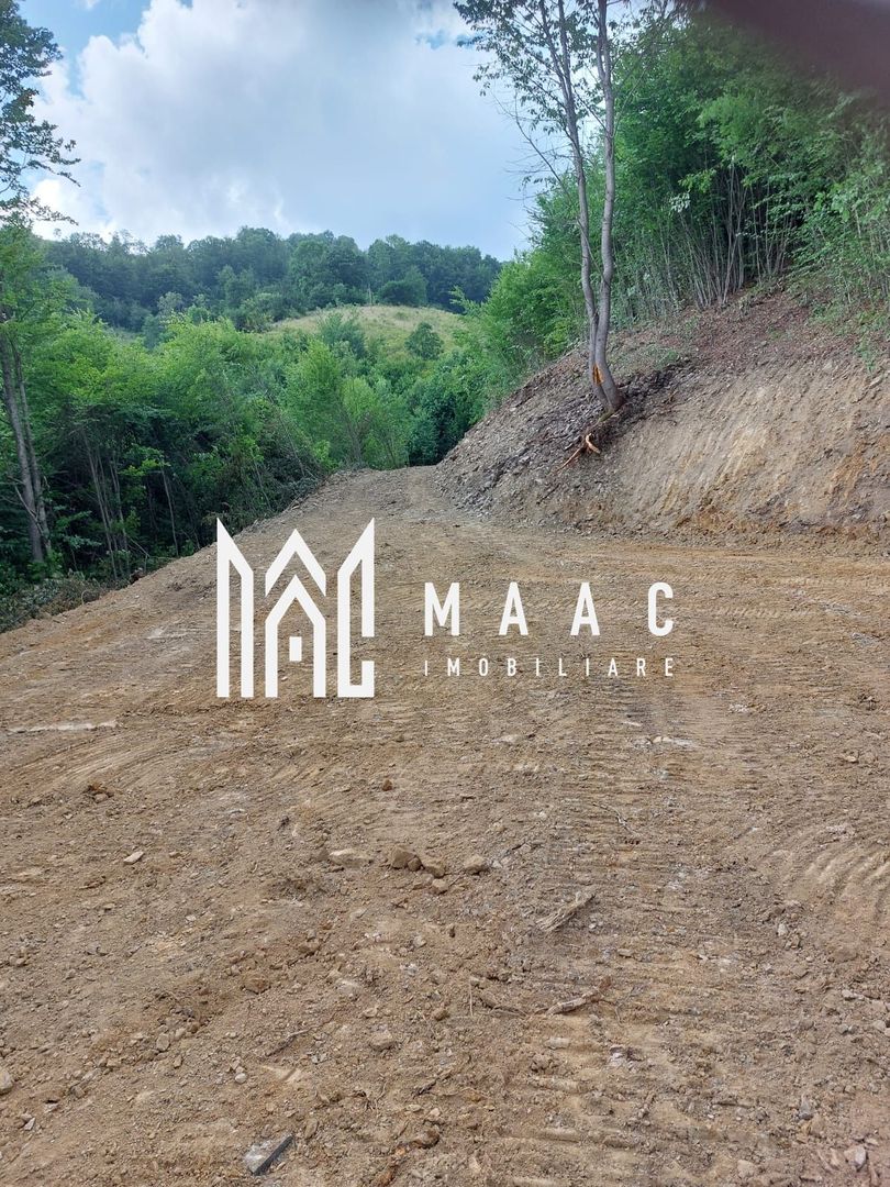 5000 teren in Muntii Apuseni I Pregatit pentru constructie - Poză 16