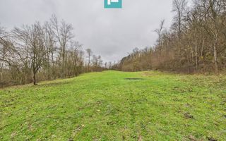 Casă cu teren de 24.679,73 mp, în Hălmagiu, Arad - Poză 17