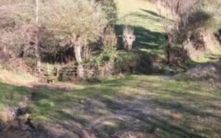 TEREN INTRAVILAN 4195 MP, LERESTI, ARGES - Poză 2