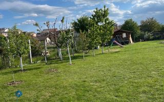 Teren de vanzare, 595 mp, acces auto, livada, Ampoi 2, Alba Iulia - Poză 2