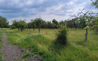 teren intravilan in sag 1271 mp - Poză 5