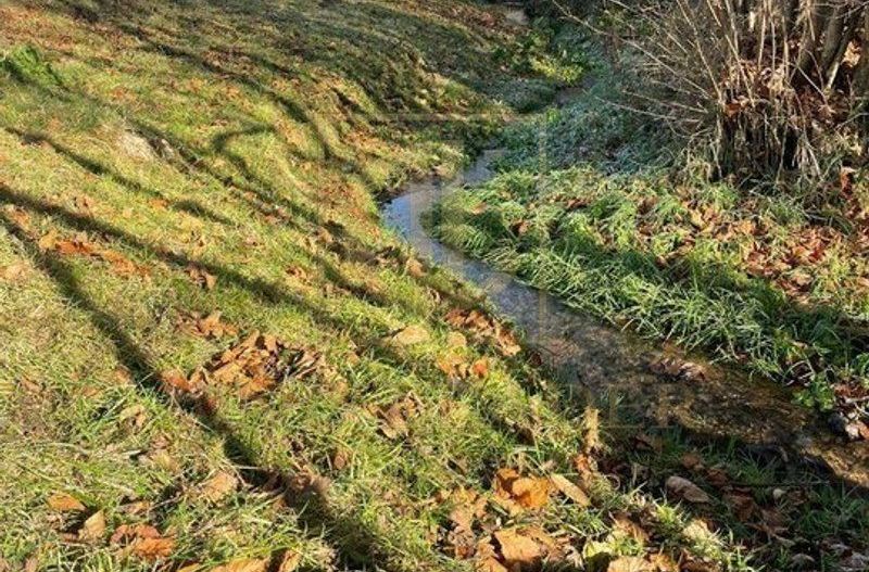 Teren 3349 mp de Vânzare | Bran – Panoramă Munții Bucegi - Poză 8