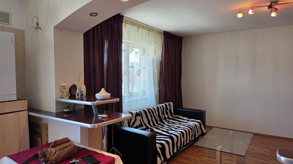 Garsonieră spațioasă Ozana, parcare, centrală proprie, balcon, pet friendly - Poză 1