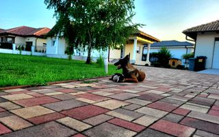 Ag EUROPA vinde casa individuala PARTER 4 cam 12 ari în MARTINESTI. - Poză 2