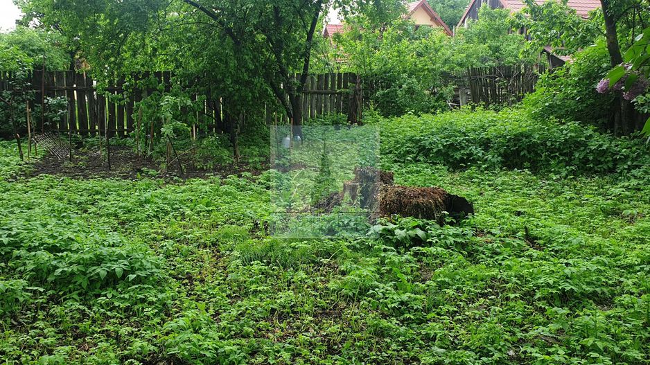 Casă bătrânească de vânzare în Tărlungeni - Poză 3