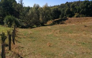 Teren Extravilan 20.000Mp I Stoenești -Vâlcea I Apă Curentă și Pădure - Poză 10