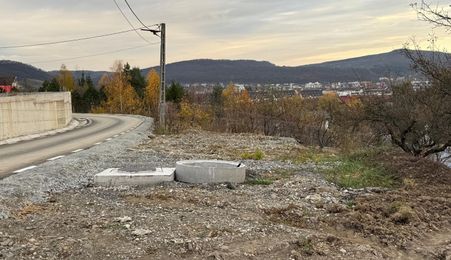 Teren intravilan | 8 ari