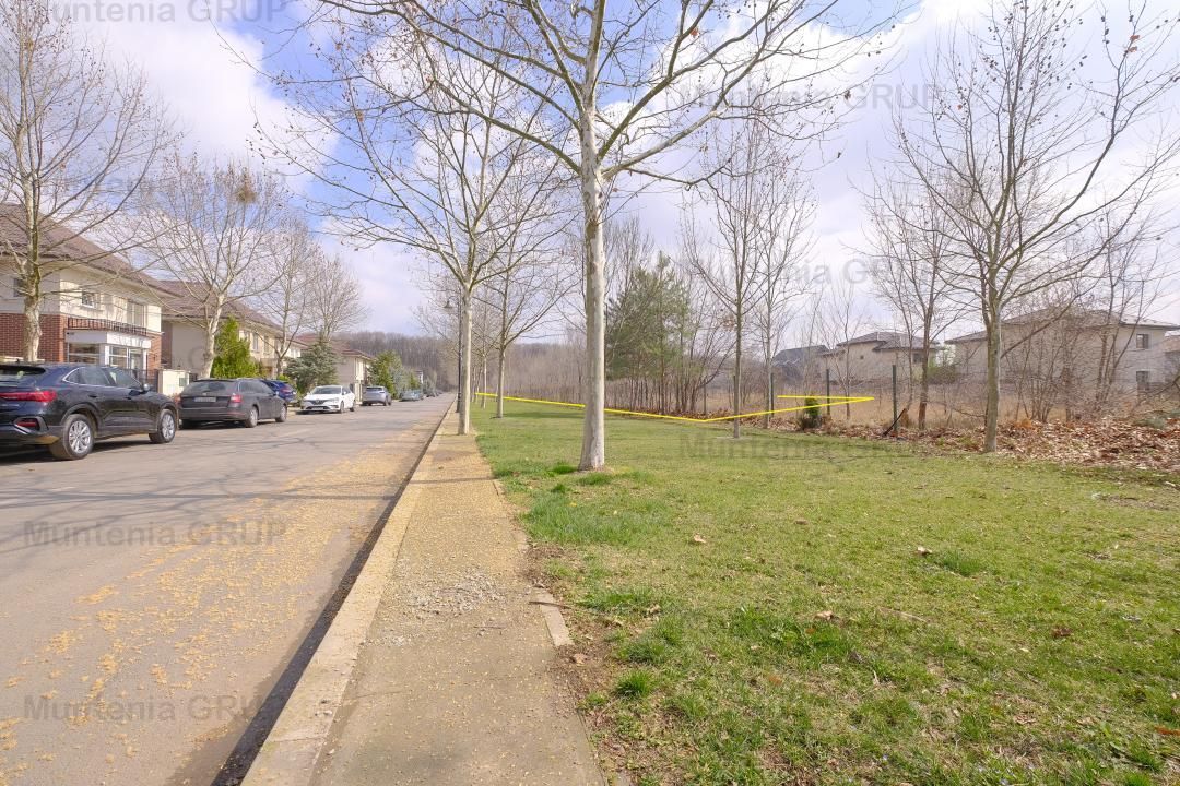CORBEANCA PARK ( Tamasi ), 6.688 mp. teren UNICAT lipit de Padurea Tamasi - Poză 4