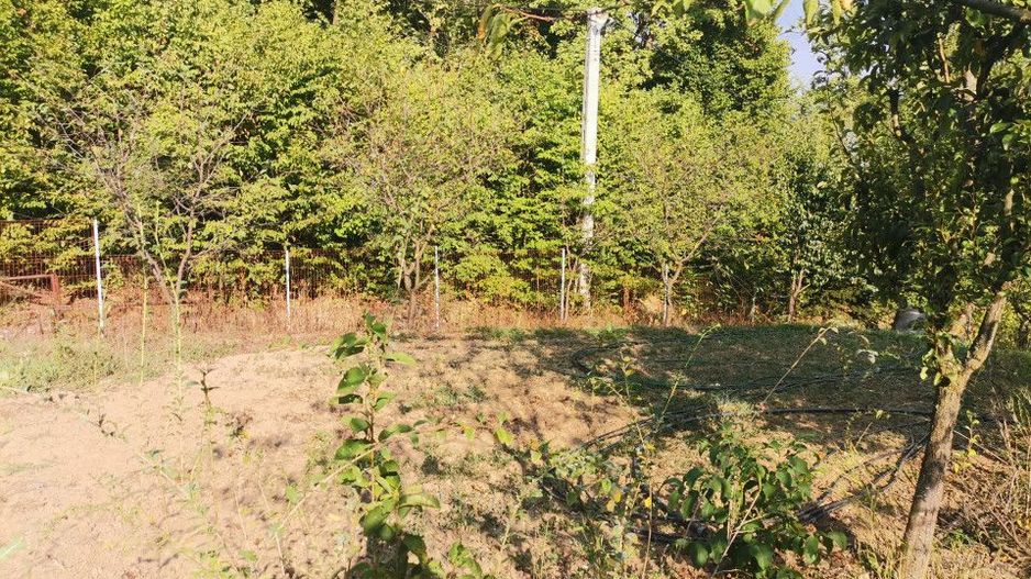 Vanzare teren intravilan Pitesti, strada Zamfiresti - Poză 2